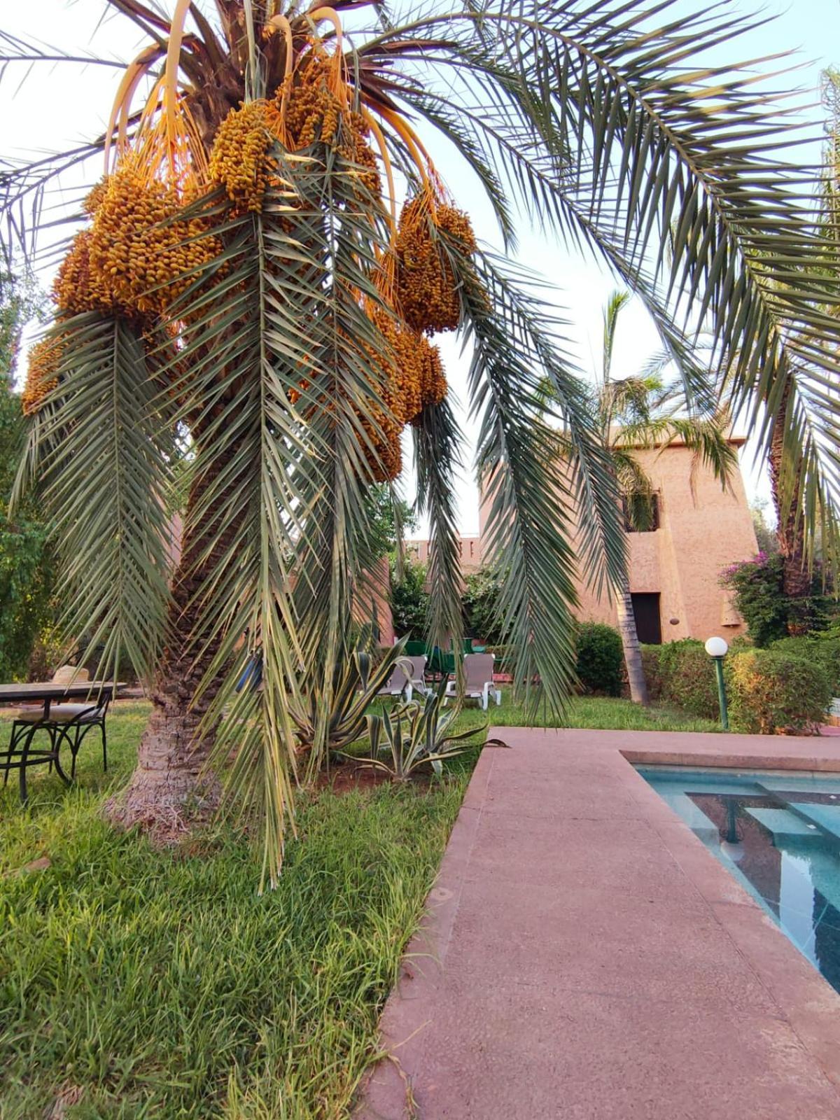 Riad Sheherazade Marrakech Marrakesh Exterior photo