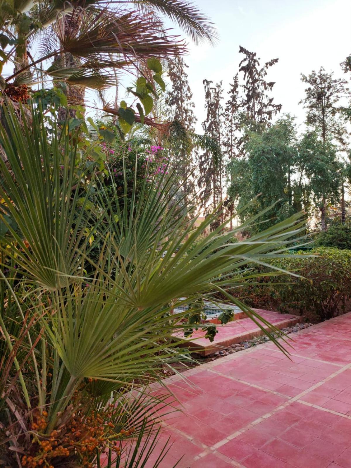 Riad Sheherazade Marrakech Marrakesh Exterior photo
