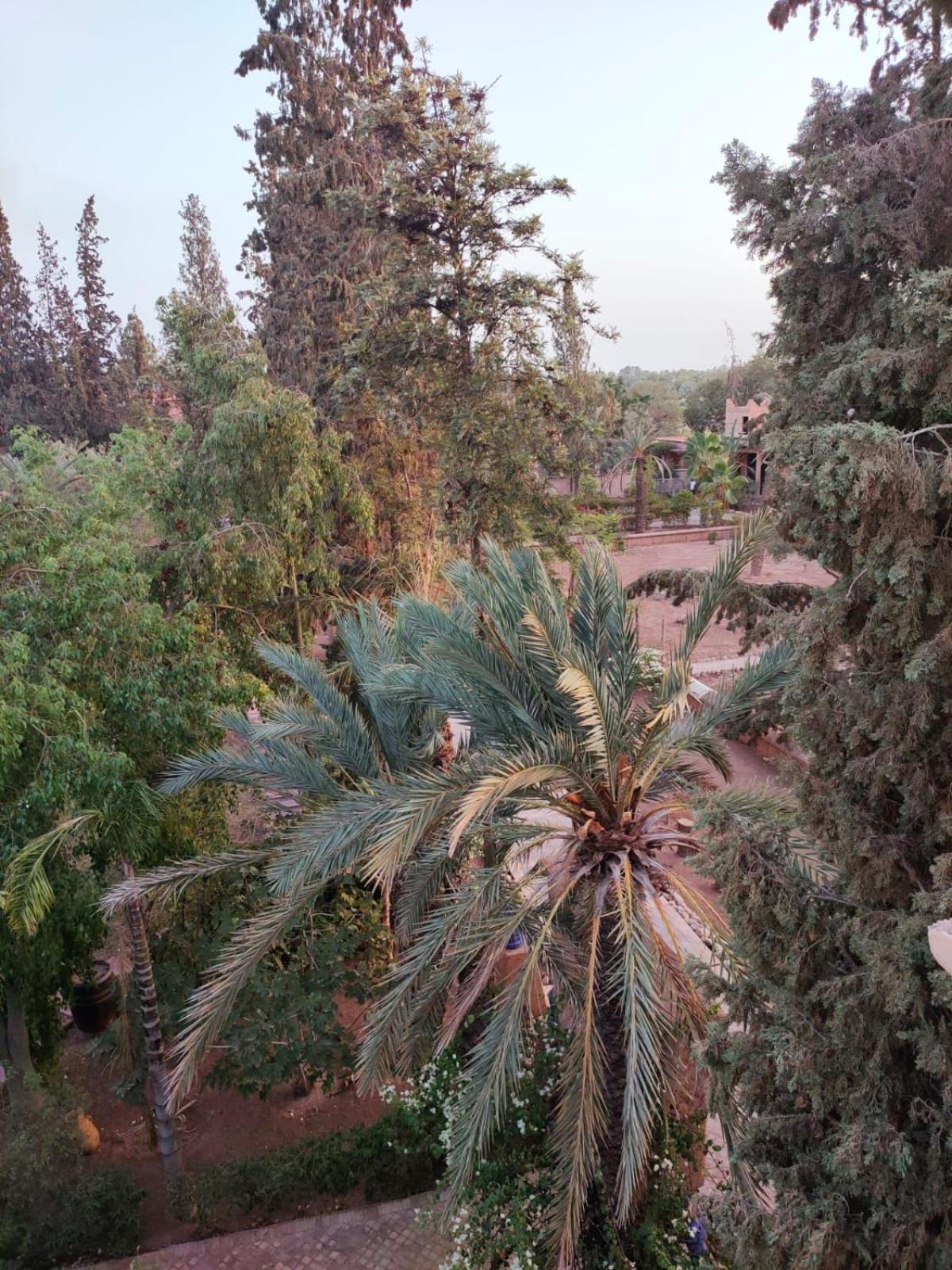 Riad Sheherazade Marrakech Marrakesh Exterior photo